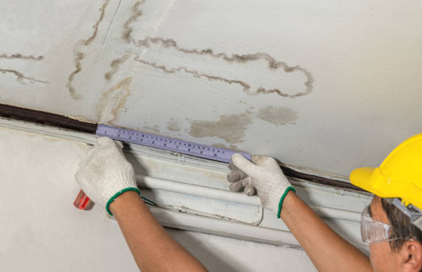 Reliable Mold Remediation contractor in Harrison Township, MI by Local Water Damage Repair